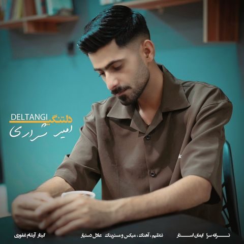 دانلود آهنگ امیر شراری دلتنگی
